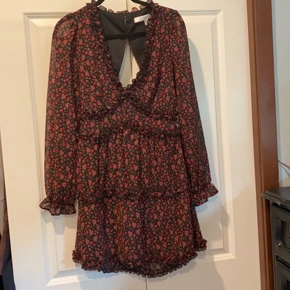 Row A Floral Mini Dress. Size M. Open Back. Originally From Nordstrom. Red/Black - Picture 9 of 9
